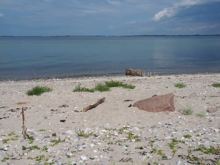 Halshuisene + Enebaerodde Beach (Denemarken)